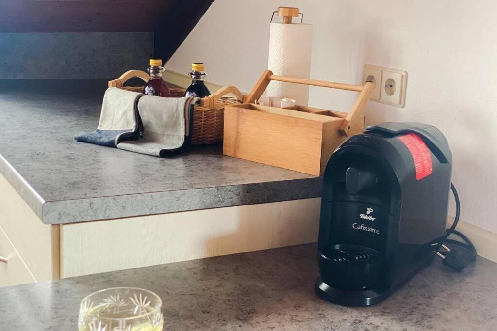 마울부르크 *Dreilaendereck* Wifi+ Balkon+Garage Basel Mulhouse 아파트 외부 사진