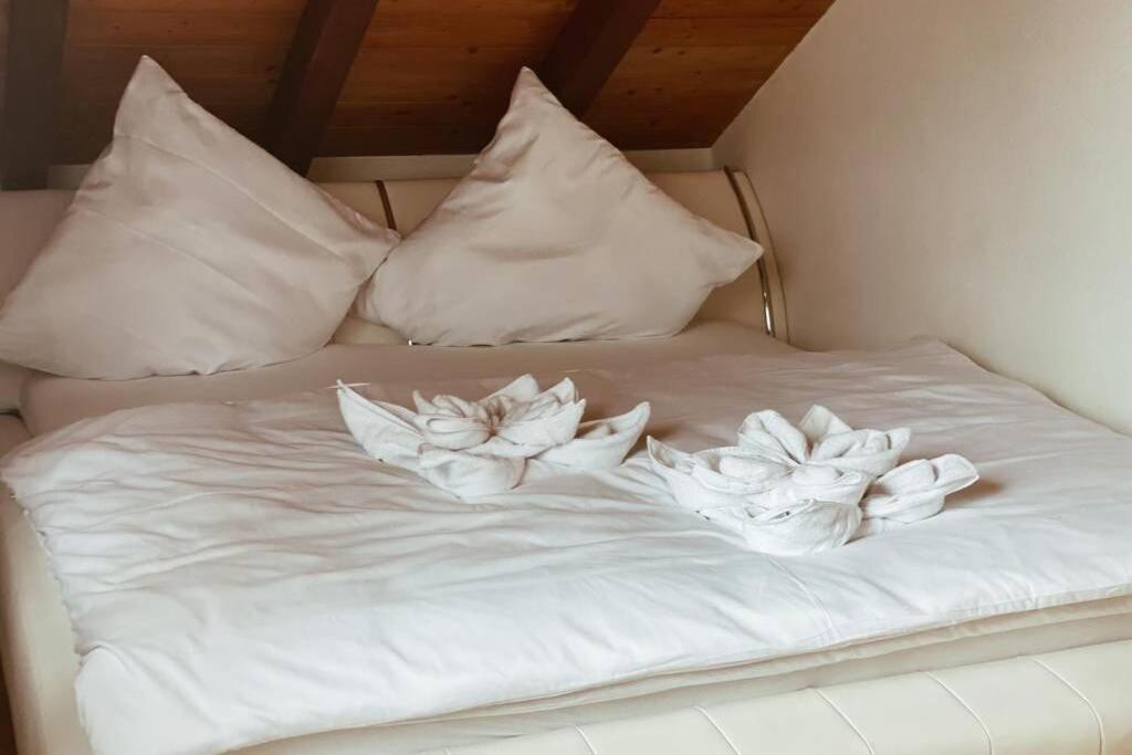 마울부르크 *Dreilaendereck* Wifi+ Balkon+Garage Basel Mulhouse 아파트 외부 사진