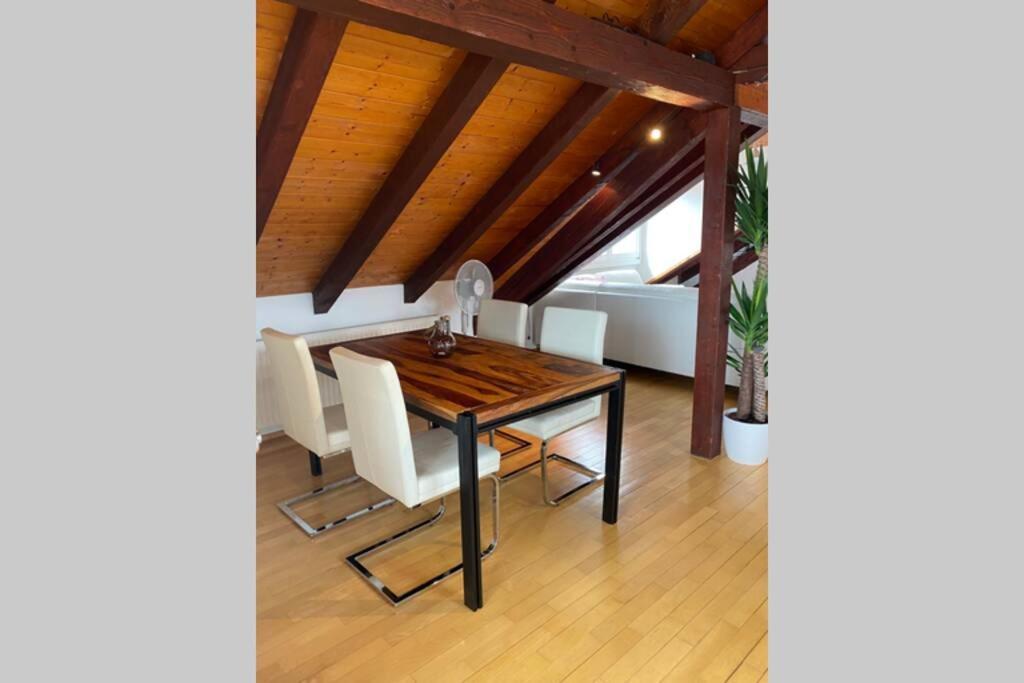 마울부르크 *Dreilaendereck* Wifi+ Balkon+Garage Basel Mulhouse 아파트 외부 사진