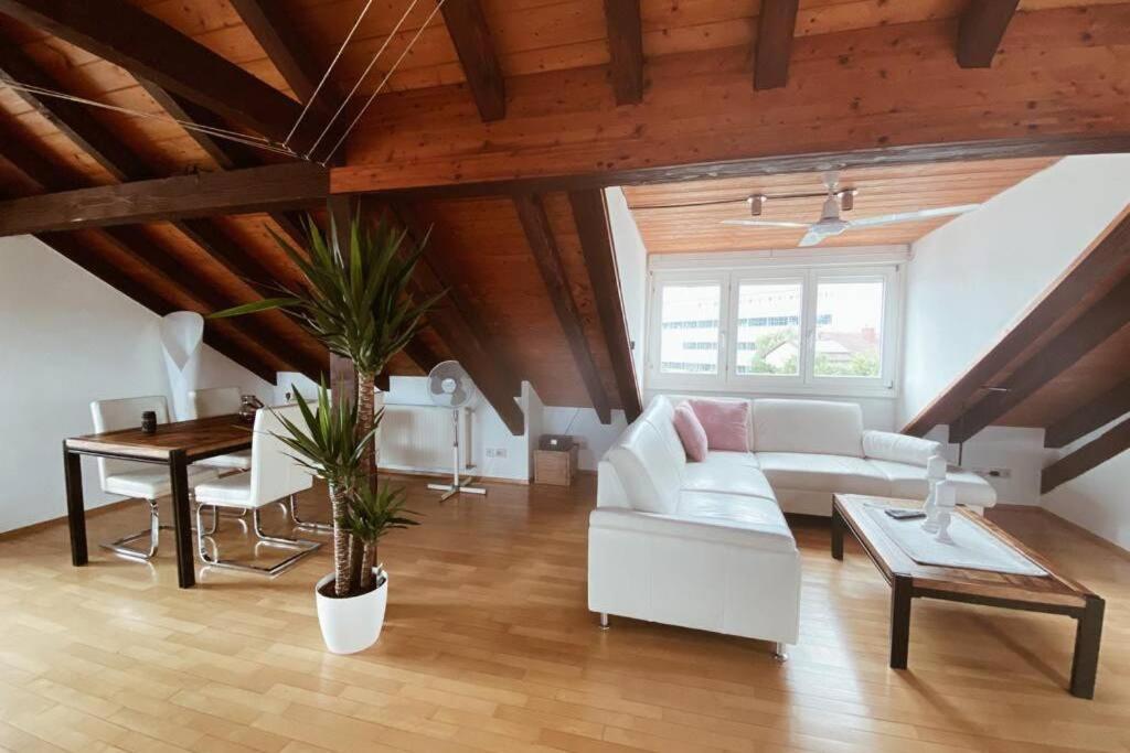 마울부르크 *Dreilaendereck* Wifi+ Balkon+Garage Basel Mulhouse 아파트 외부 사진