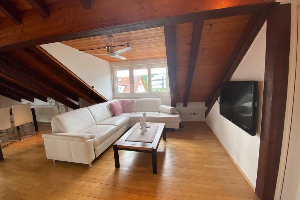 마울부르크 *Dreilaendereck* Wifi+ Balkon+Garage Basel Mulhouse 아파트 외부 사진